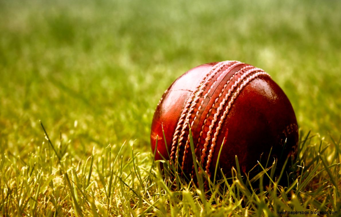 Cricket Forum Helps You Express Everything That’s On Your Mind